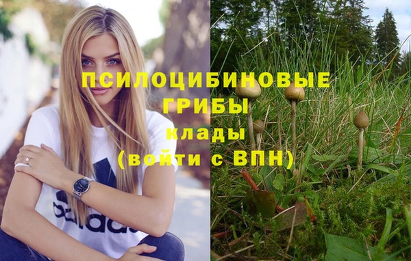 дмт Алексин