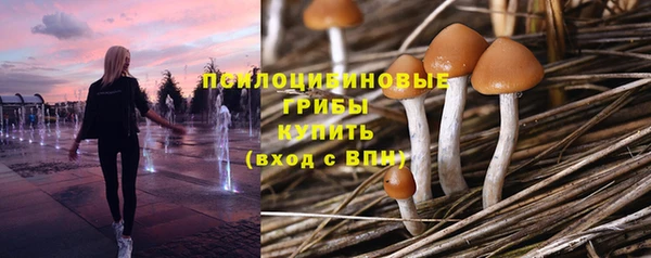 mdpv Алзамай