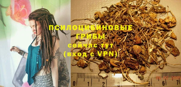 дживик Алексеевка