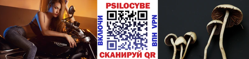 кракен ссылки  Глазов  Псилоцибиновые грибы прущие грибы  где продают  