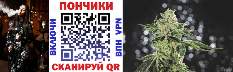 Бошки Шишки MAZAR  продажа наркотиков  Глазов 